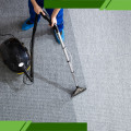 Safe for Children and Pets: A Guide to Eco-Friendly Steam Cleaning