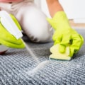 Specialty Stain Removal Services: The Ultimate Solution for Deep Cleaning Your Carpets