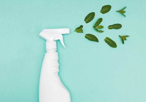 Eco-Friendly Steam Cleaning: A Deep Dive into Plant-Based Cleaners