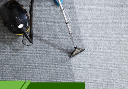 Safe for Children and Pets: A Guide to Eco-Friendly Steam Cleaning